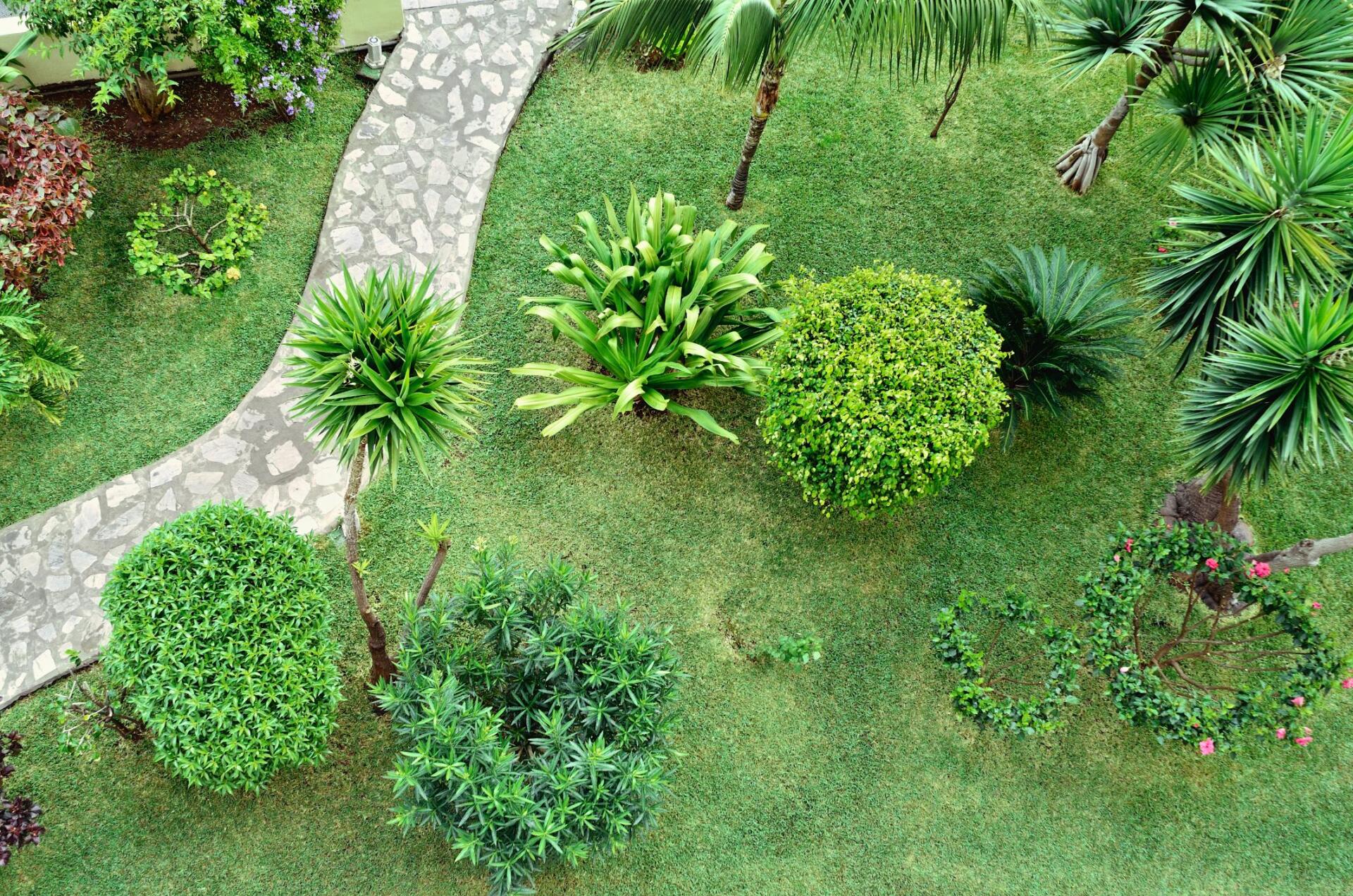 Franklin+Landscapers+-+Landscape+Design+Services+2-1920w Franklin+Landscapers+-+Landscape+Design+Services+2-1920w