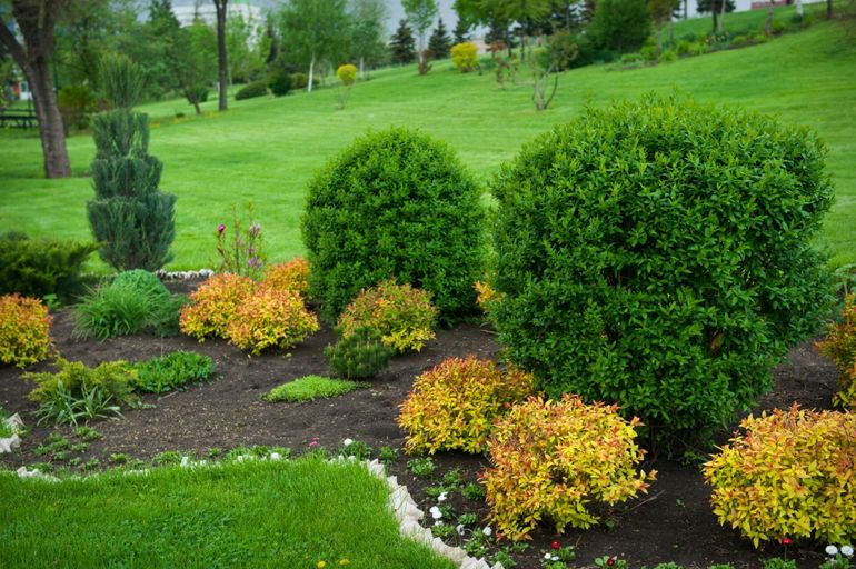 Franklin+Landscapers+-+Services-768w