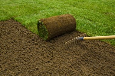 Franklin+Landscapers+-+Sod+&+Seed+Installation+2-384w Franklin+Landscapers+-+Sod+&+Seed+Installation+2-384w